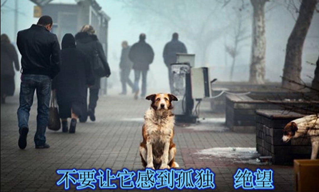 拉萨拉萨爱影圈微博微信转发案例